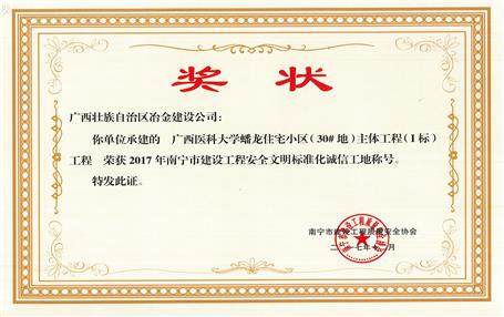 南寧分公司四個(gè)項(xiàng)目獲表彰！