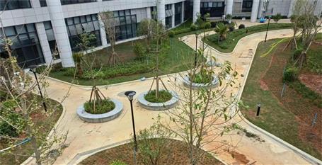 【提升“三力” 爭創(chuàng)佳績】第三分公司項目通過預(yù)驗(yàn)收交付使用