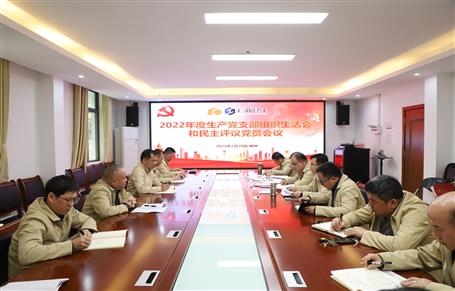 廖立波、唐峰、何勇以普通黨員身份參加所在黨支部2022年度組織生活會(huì)