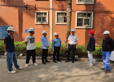 何勇、韋克雪到柳州市城市更新項目進行調研指導工作